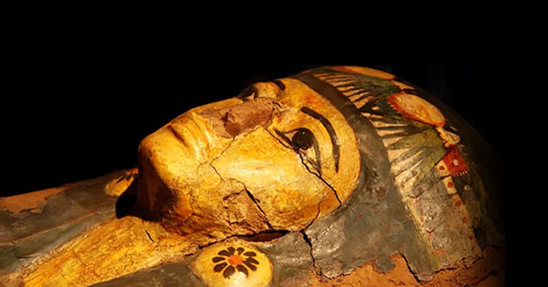 Le musée de la Momification, Louxor
