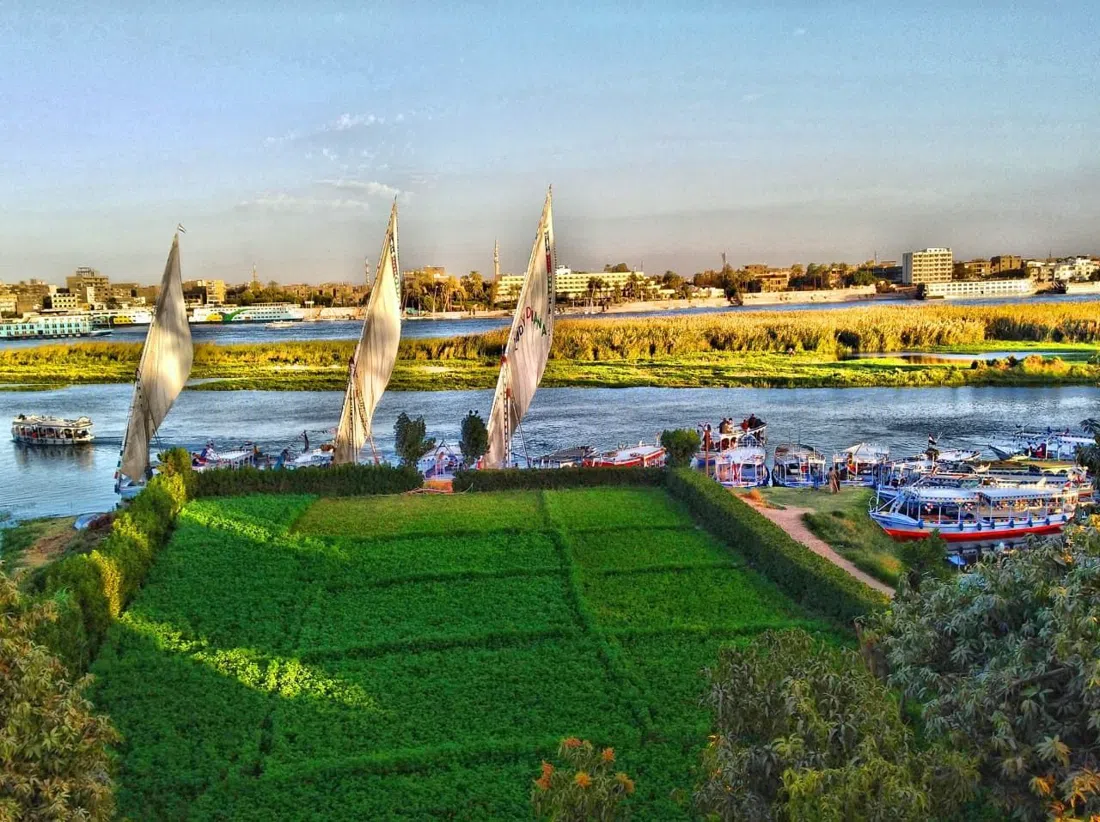 Banana Island (Gezira el-Mozh), Luxor