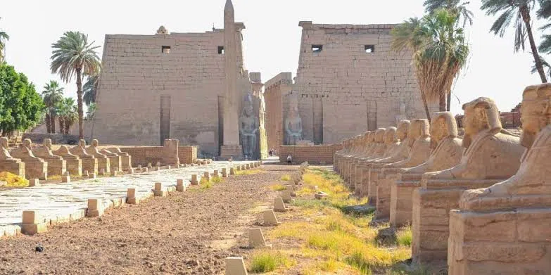 Avenue of Sphinxes, Luxor