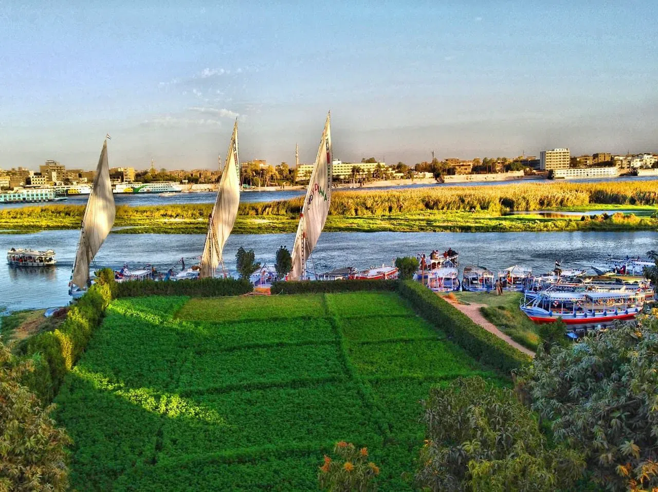 Île aux Bananes (Gezirat al-Mawz), Louxor