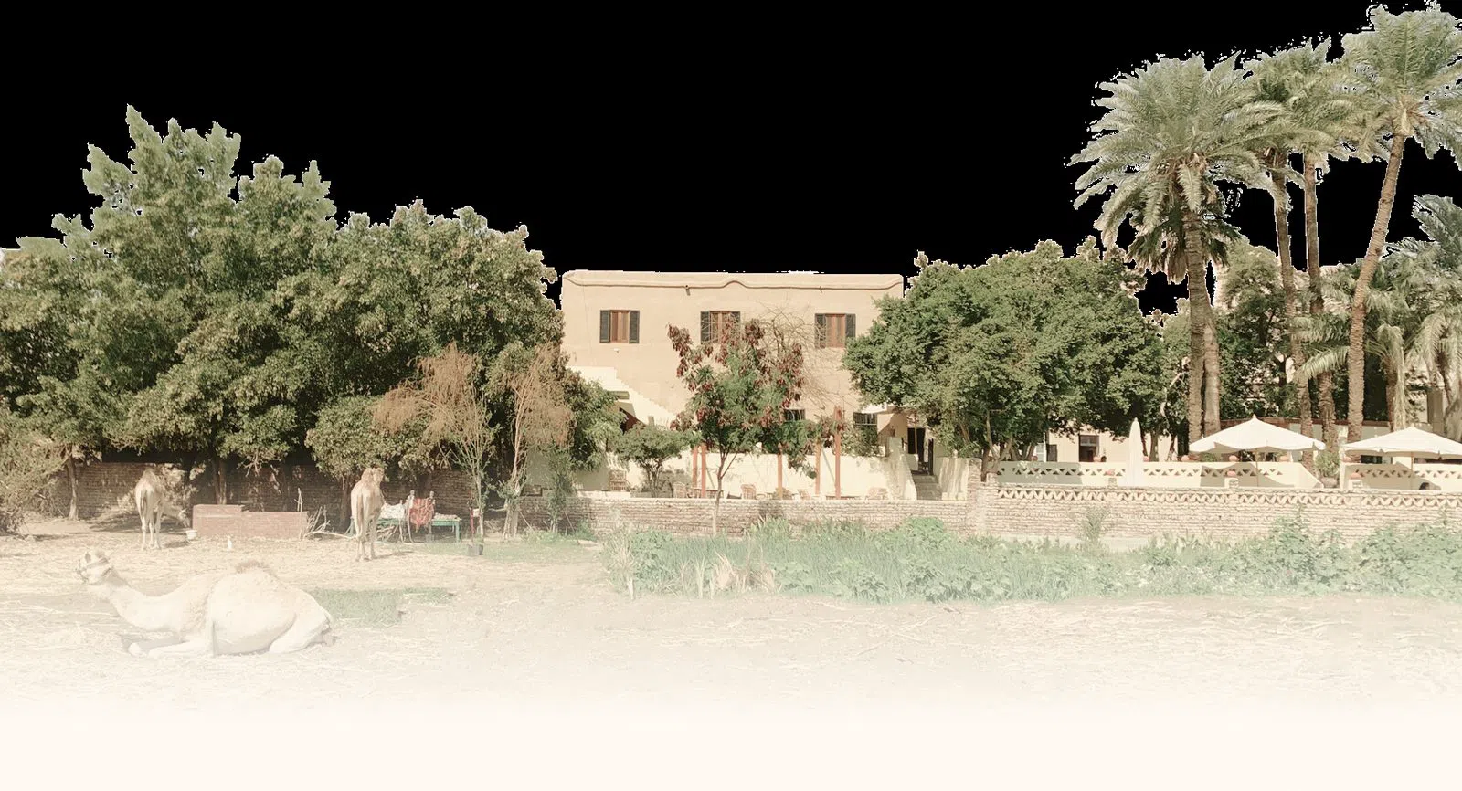 Marsam Hotel Garden Restaurant, Luxor